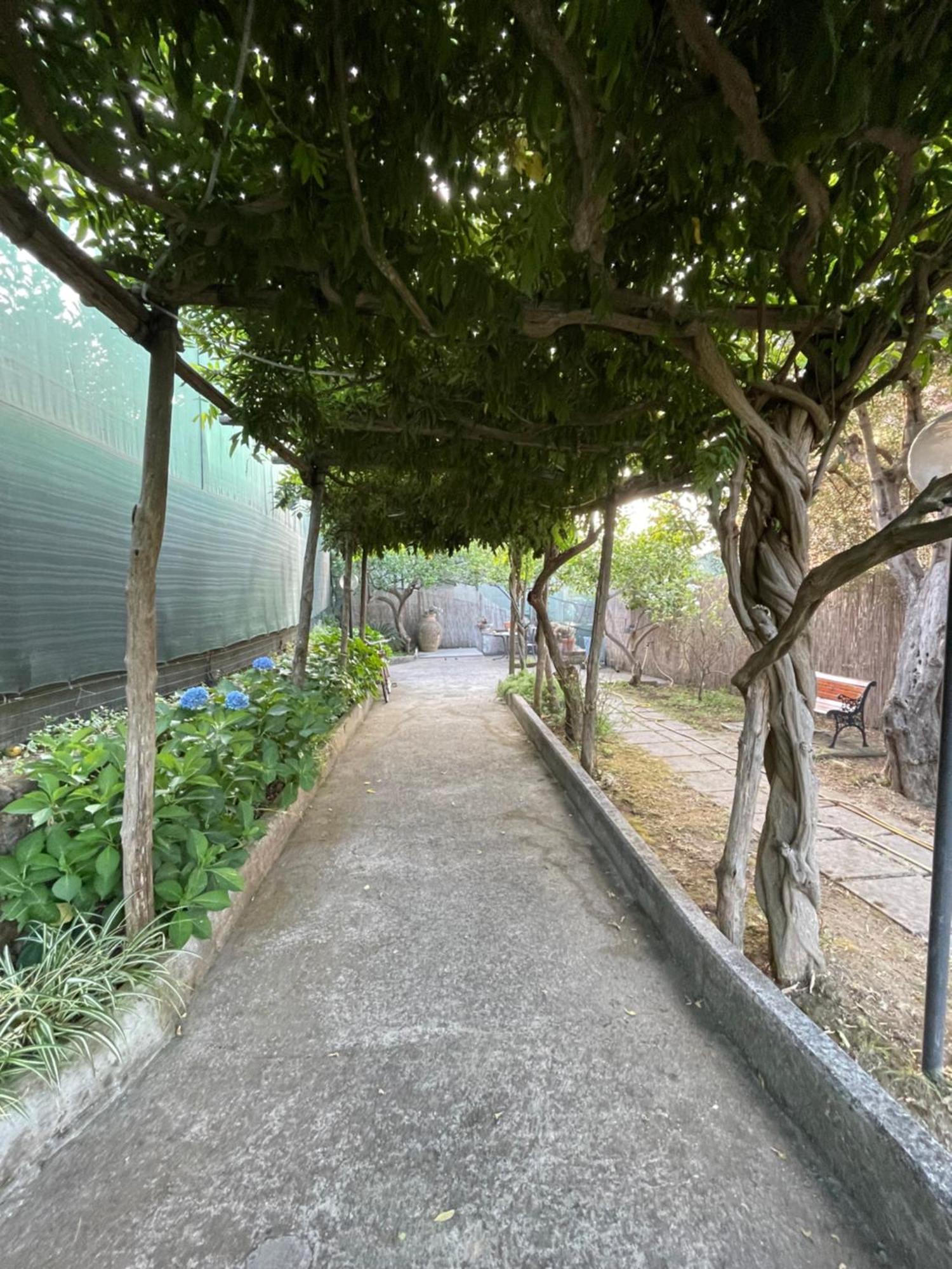 Villa Rosmary Massa Lubrense Exterior photo