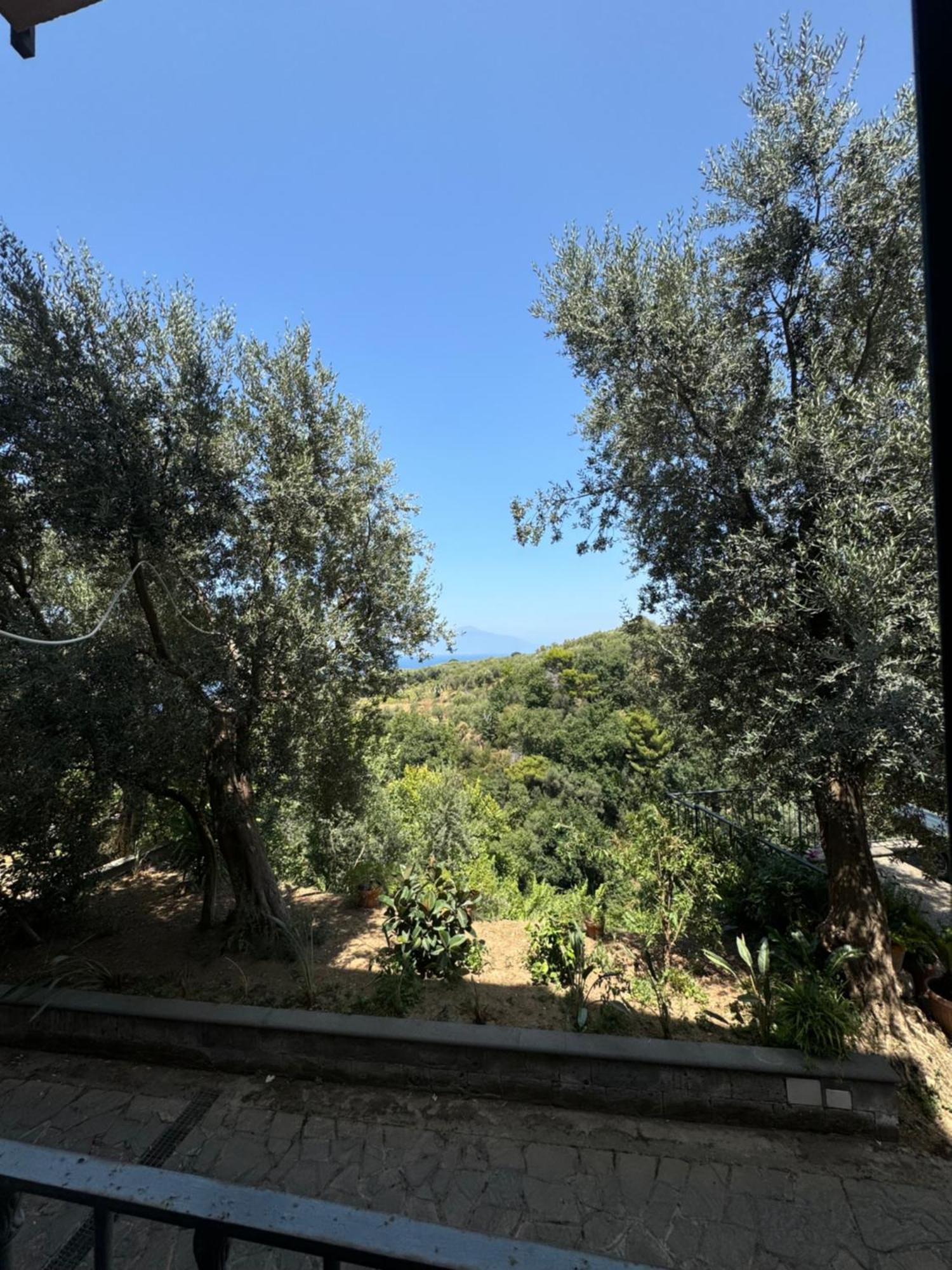 Villa Rosmary Massa Lubrense Exterior photo